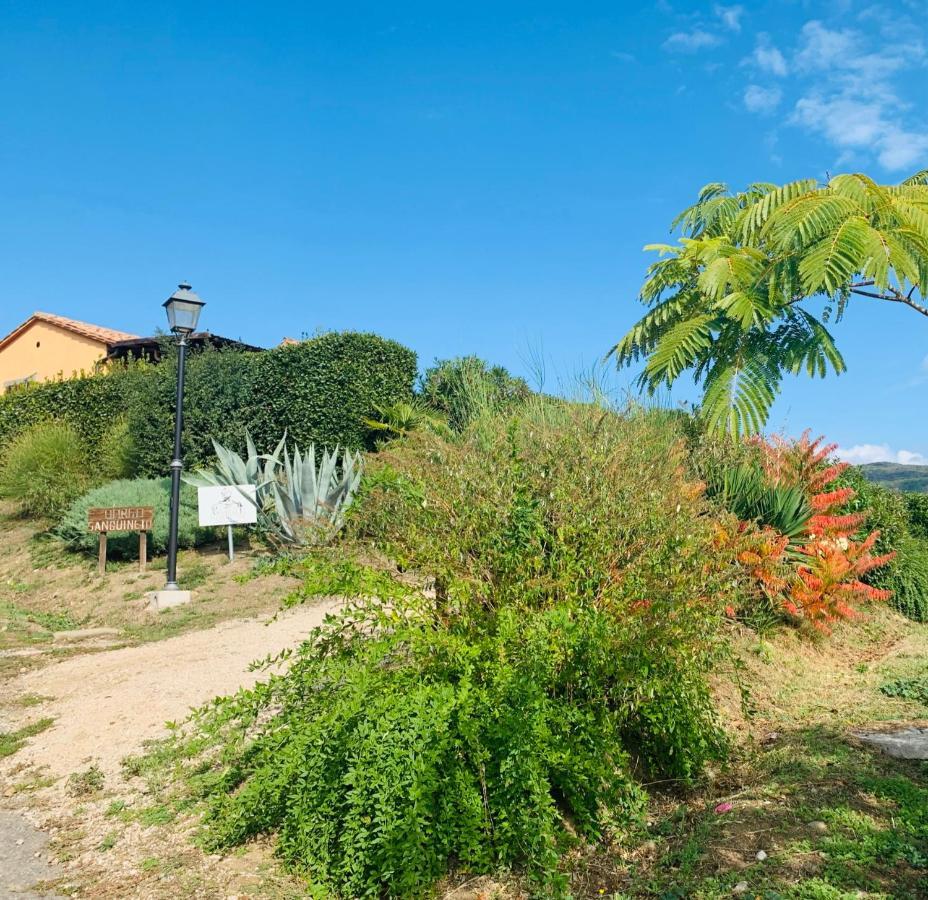 Agriturismo Annibale Туоро-суль-Тразимено Экстерьер фото